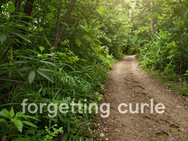 Why Revise for GCSEs? The Real Truth About Exam Prep